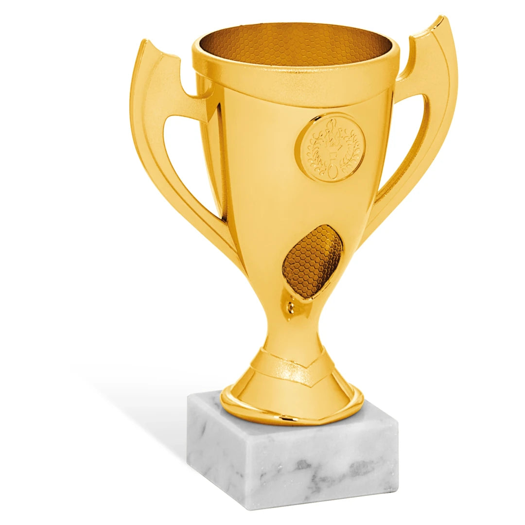 CBRIDGE:96295A:96295A_01