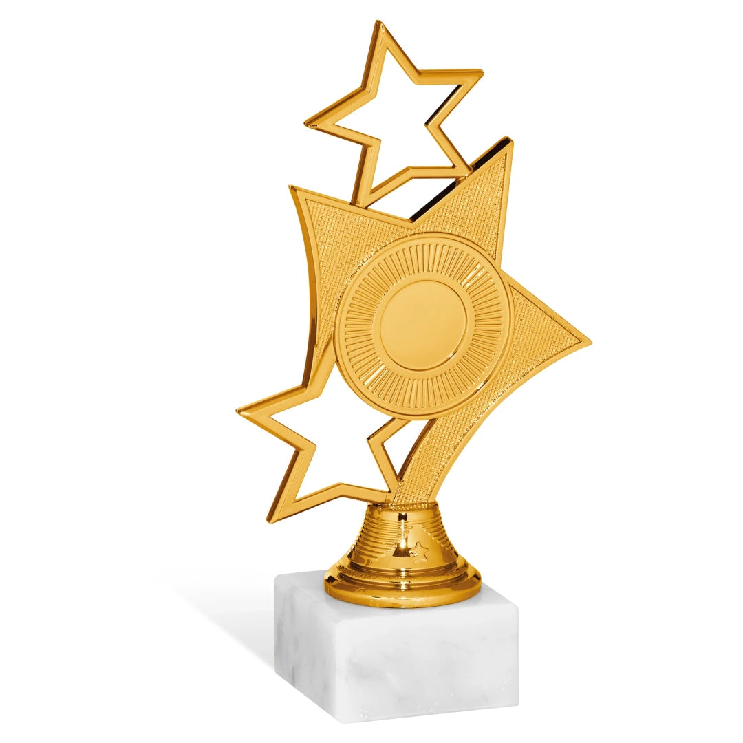 CBRIDGE:96308A:96308A_01