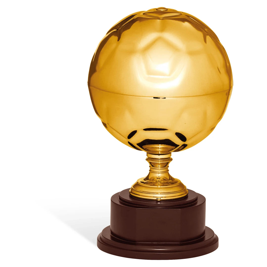 CBRIDGE:96311A:96311A_01