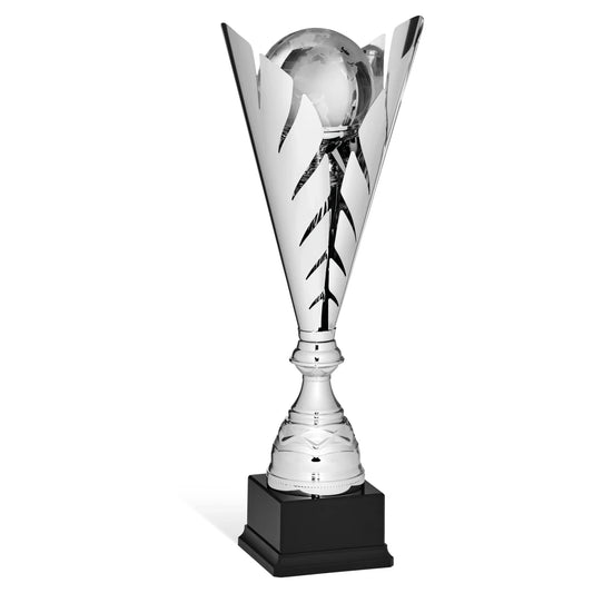 CBRIDGE:96356A:96356A_01