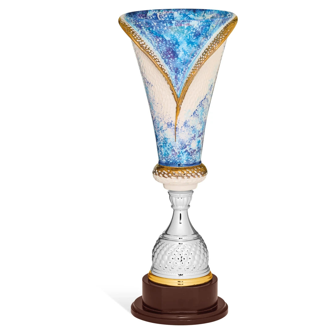 CBRIDGE:96CER4A:96CER4A_01