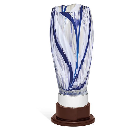 CBRIDGE:96VASO1A:96VASO1A_01