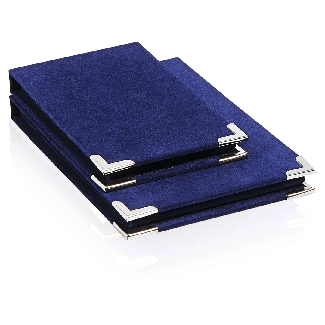 CBRIDGE:AST2012:AST2012_02