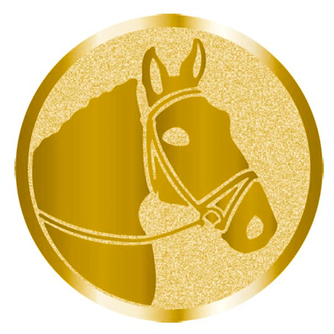 CBRIDGE:CENTRO-CAVALLO:CENTRO-CAVALLO_01