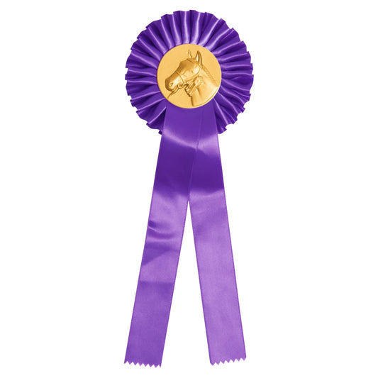 CBRIDGE:COCC-CAV-VIOLA:COCC-CAV-VIOLA_01