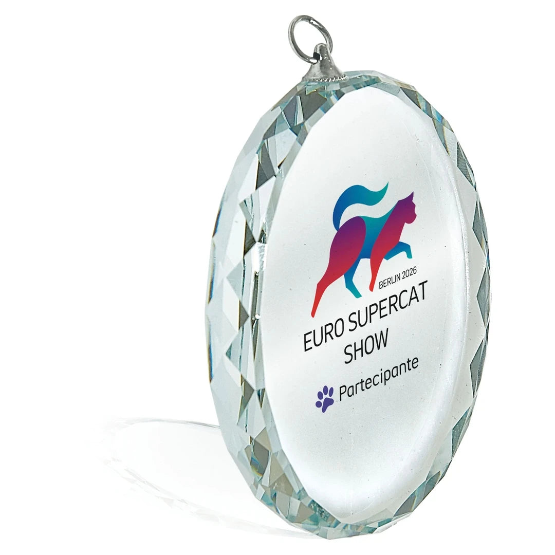 CBRIDGE:CRY160A:CRY160A_02