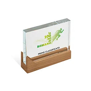 SUPPORTO IN VETRO LEGNO CRY550