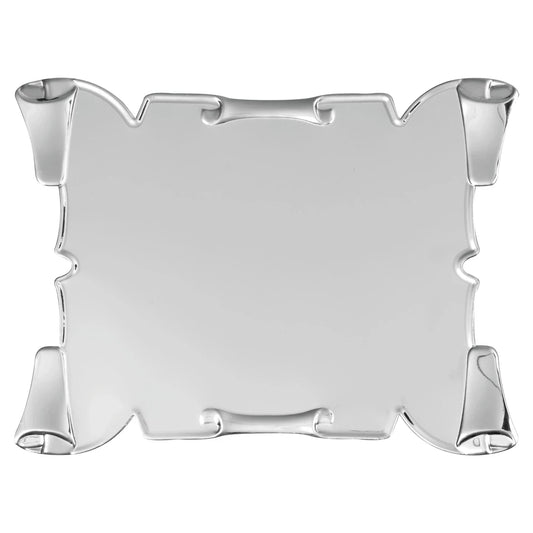 CBRIDGE:TGCAG20X15ARG:TGCAG20X15ARG_01